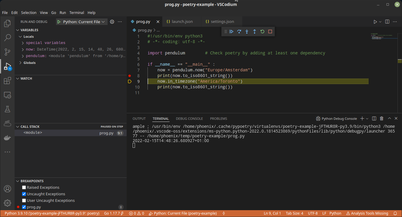 Python debugger working within our example potery project
